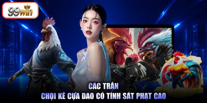Các trận chọi kê cựa dao có tính sát phạt cao