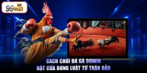 Cách chơi đá gà
