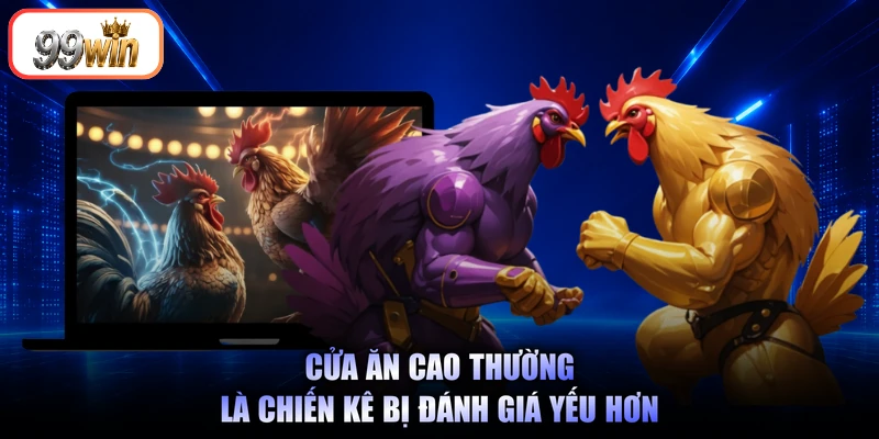 Cửa ăn cao thường là chiến kê bị đánh giá yếu hơn