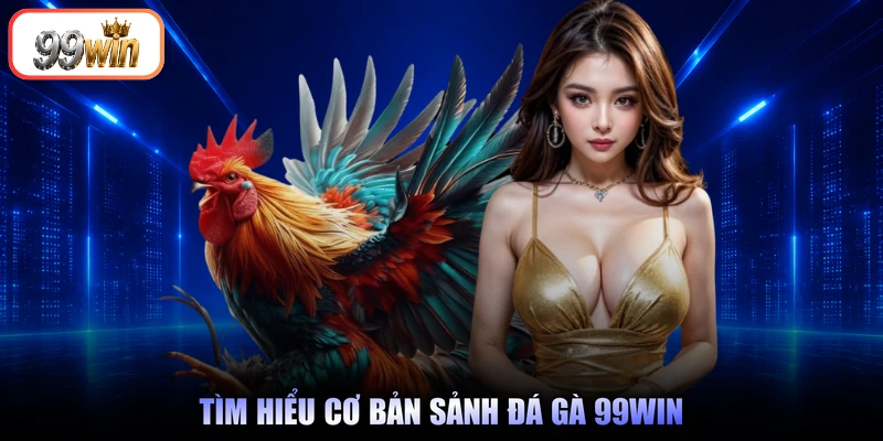 Tìm hiểu cơ bản sảnh đá gà 99Win