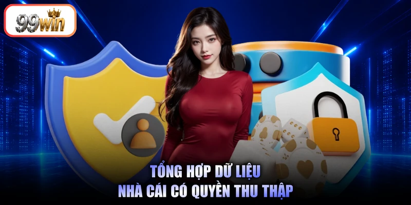 Tổng hợp dữ liệu nhà cái có quyền thu thập